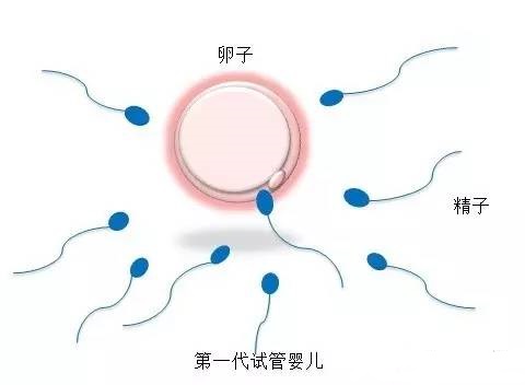 实验室2